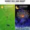 Solar Firework Fairy Lights Outdoor Garden Pathway LED Decor