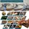 High Speed Wood Shaping Disc Grinder Wheel for Carving Sanding and Power Tools