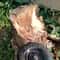 High Speed Wood Shaping Disc Grinder Wheel for Carving Sanding and Power Tools