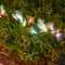 Solar Butterfly Garden Lights Outdoor Fiber Optic Lawn Decor Head Waterproof