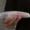 Portable Travel Razor Case Durable Razor Holder Compact Shaving Storage Box 1
