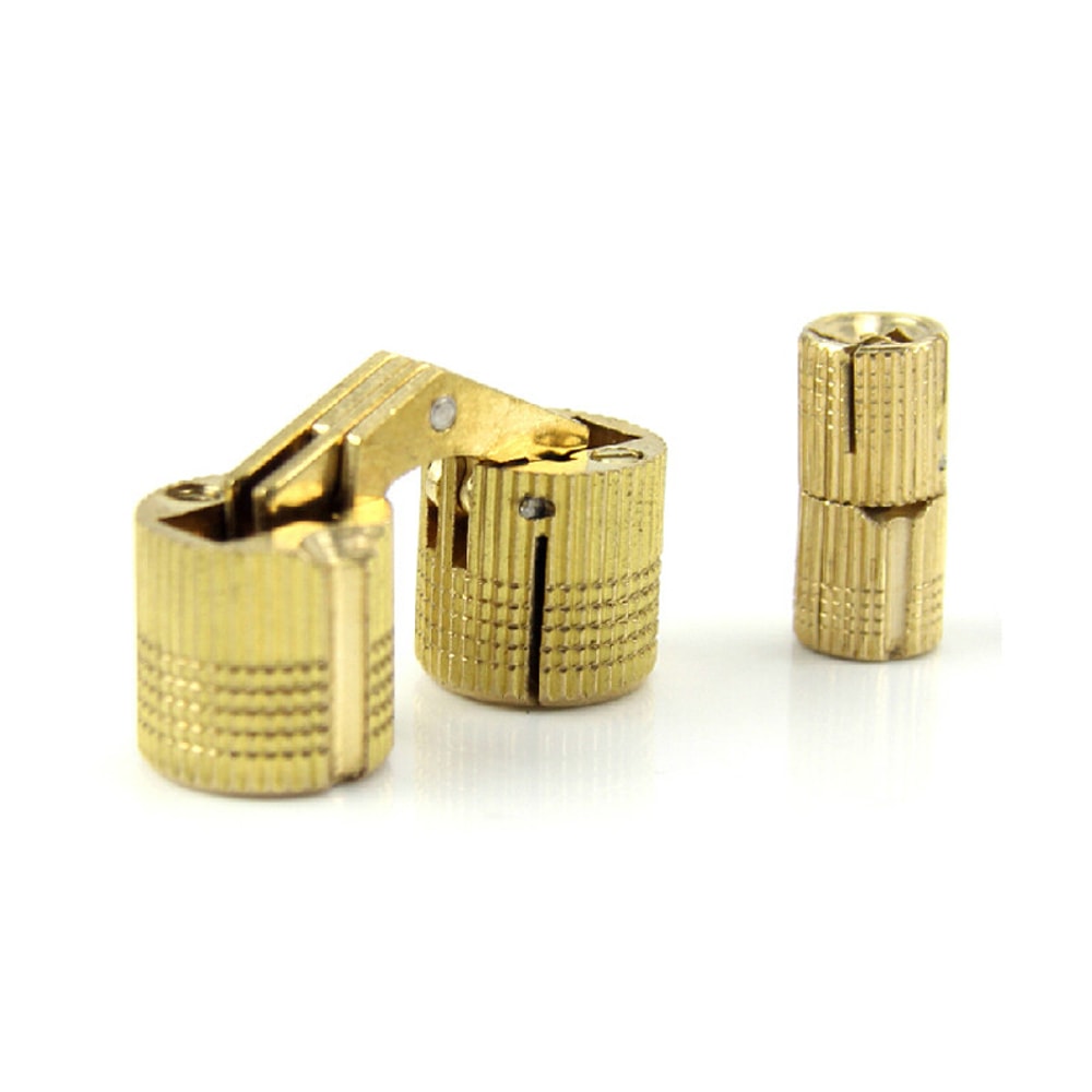 Invisible Brass Barrel Hinges for Cabinets Concealed Door Pivot Hardware Set