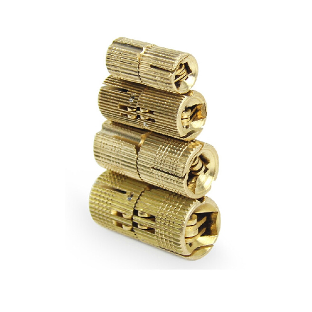 Invisible Brass Barrel Hinges for Cabinets Concealed Door Pivot Hardware Set
