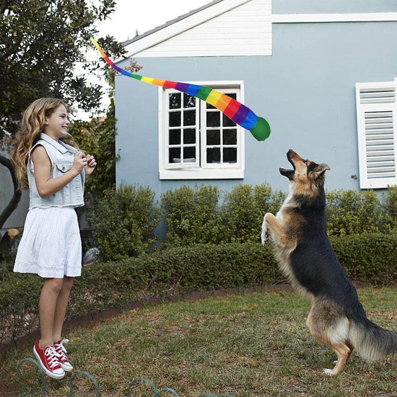 Rainbow Meteor Ball Toss Game for Kids Outdoor Play Sensory Training Toy