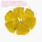 Honey Cheese Mochi Squishy Toy Soft Stress Relief Sensory Fidget