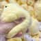 Ultra Soft Chick Squishy Toy Stress Relief Silicone Fidget for Kids & Adults