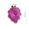 Squishy Grapes Fidget Toy For Stress Relief Sensory Play 1