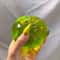 Premium Green Apple Sensory Stress Relief Toy Soft Squishy Fidget Toy For Anxiety Relief Focus 2