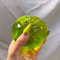 Premium Green Apple Sensory Stress Relief Toy Soft Squishy Fidget Toy For Anxiety Relief Focus 2