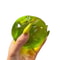 Premium Green Apple Sensory Stress Relief Toy Soft Squishy Fidget Toy For Anxiety Relief Focus 6