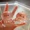 Calming Jellyfish Sensory Stress Relief Fidget Toy Slow Rising Squishy For Adults Kids 1