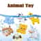 Animal Pop Fidget Toy Set Push Bubble Sensory Stress Relief Set 5
