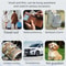 Smart Bluetooth GPS Tracker for Kids Pets Keys Wallet Real Time Anti Lost Locator for iOS Android