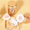 Butterfly Air Cushion BB Cream Foundation Oil Control Waterproof Concealer 1