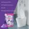 Deep Clean Toilet Foam Cleaner Fresh Deodorizing Bathroom Spray 2