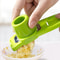 Multi Function Garlic Press and Ginger Grinder Kitchen Tool