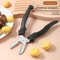Stainless Steel Chestnut Peeler Scissors with Cross Cutter Nut Shell Opener