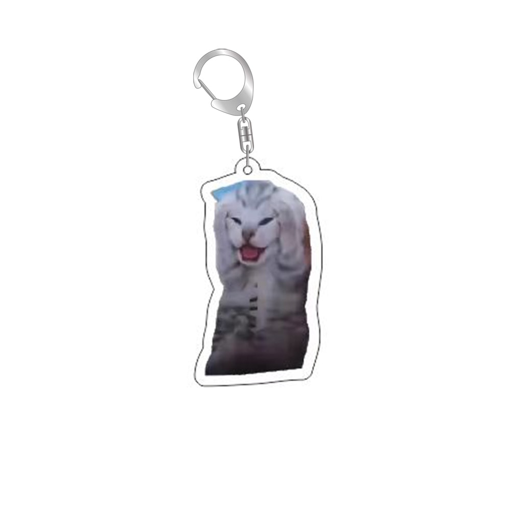 Funny Cat Meme Keychain for Bags and Backpacks Cute Gift for Cat Lovers