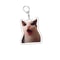 Funny Cat Meme Keychain for Bags and Backpacks Cute Gift for Cat Lovers