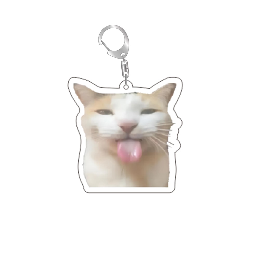 Funny Cat Meme Keychain for Bags and Backpacks Cute Gift for Cat Lovers