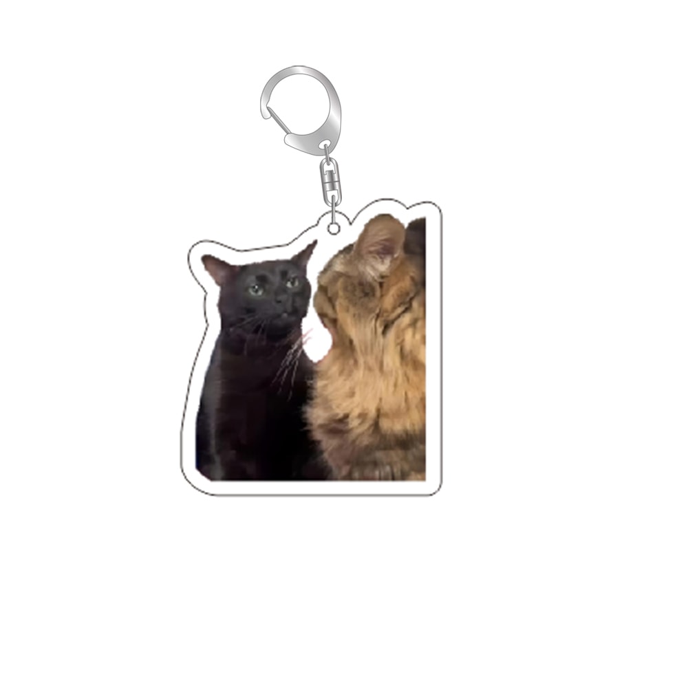 Funny Cat Meme Keychain for Bags and Backpacks Cute Gift for Cat Lovers