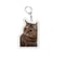 Funny Cat Meme Keychain for Bags and Backpacks Cute Gift for Cat Lovers