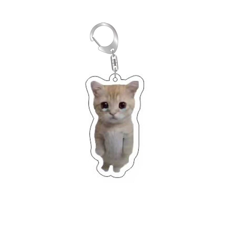 Funny Cat Meme Keychain for Bags and Backpacks Cute Gift for Cat Lovers