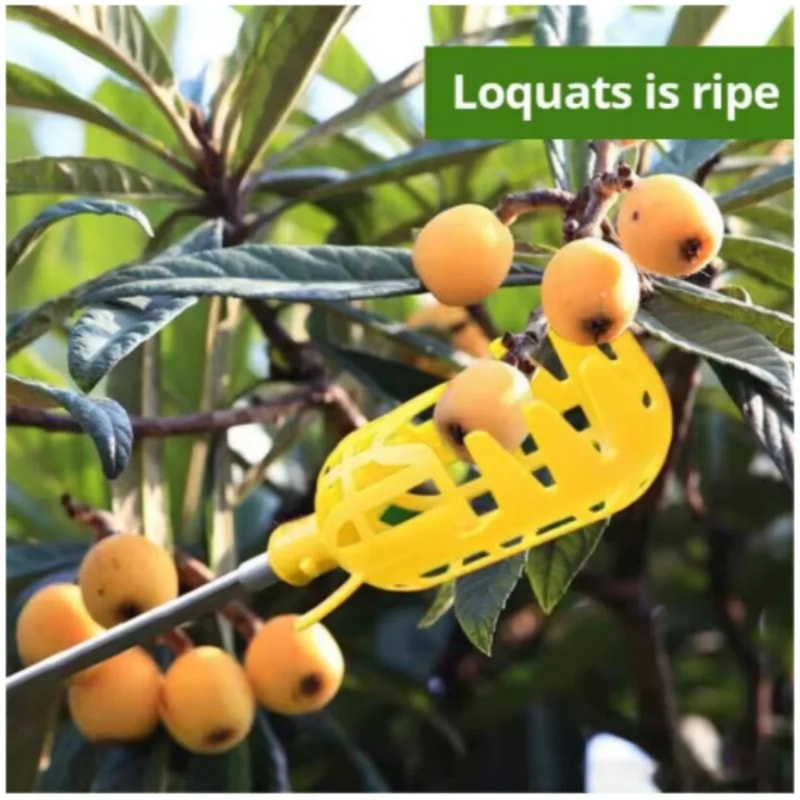 Deep Basket Fruit Picker Tool for Apples, Peaches & Orchard Harvesting