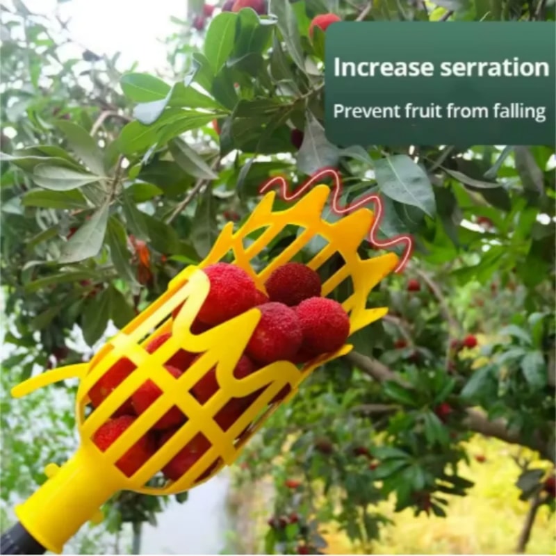 Deep Basket Fruit Picker Tool for Apples, Peaches & Orchard Harvesting