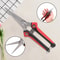PrecisionCut Stainless Steel Pruning Shears for Garden and Fruit Tree Trimming