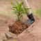 Heavy Duty Garden Hoe Hand Tool For Weeding Digging Soil Loosening 2