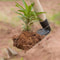Heavy Duty Garden Hoe Hand Tool For Weeding Digging Soil Loosening 2