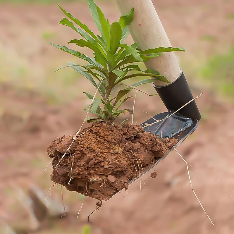 Heavy Duty Garden Hoe Hand Tool For Weeding Digging Soil Loosening 2