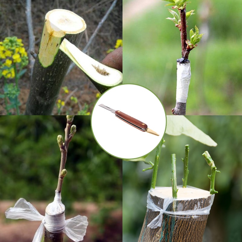 Professional Grafting Knife for Fruit Trees Foldable Wooden Handle Pruning Cutter
