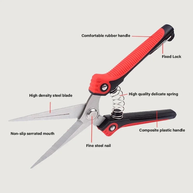 SharpCut Stainless Steel Pruning Shears with Non Slip Grip for Garden & Fruit Tree Trimming