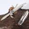 AlpineEdge Folding Camping Knife Stainless Steel Multiuse Kitchen & BBQ Tool