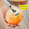 Stainless Steel Citrus Peeler Tool for Oranges, Grapefruit & Pomelo