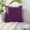 Luxury Velvet Throw Pillow Cover for Sofa & Bed Decor Cushion Case