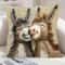 Smiling Donkey Plush Pillow Cover Cute Cartoon Sofa Cushion Case 7