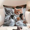 Cute Cartoon Cat Pillow Cover For Sofa Decor Cozy Cat Lover Cushion Case 0