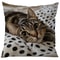 Cute Cartoon Cat Pillow Cover For Sofa Decor Cozy Cat Lover Cushion Case 4