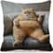 Cute Cartoon Cat Pillow Cover For Sofa Decor Cozy Cat Lover Cushion Case 6