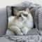 Cute Cartoon Cat Pillow Cover For Sofa Decor Cozy Cat Lover Cushion Case 10