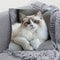 Cute Cartoon Cat Pillow Cover For Sofa Decor Cozy Cat Lover Cushion Case 10
