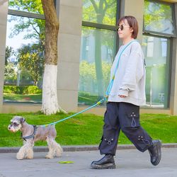 Hands Free Reflective Nylon Dog Leash Pet Traction Rope Leads