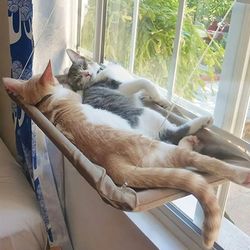 Pet Cat Hammock Hanging Cat Bed Bearing 20Kg Comfortable Cat Sunny Window Seat Mount Kitten Climbing Frame