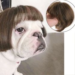 Pet Wigs Cosplay Props Dog Cat Cross-Dressing Hair Set