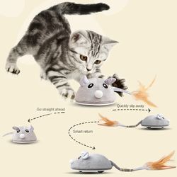 Interactive Mouse Toy for Cats USB Charging Moving Rat with Feather Toys Play-Catch Training Toy