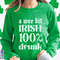 Irish Drinking St Patrick's Day Sweatshirt, Wee bit Irish Drinking St Patty's Day Sweater, Trendy St Patty Days 100 Irish Drinking Shirts.jpg