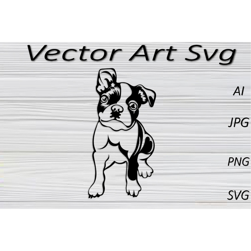Boston-TerrierDog-SvgPngJpgAiVector-Graphics-68742707-1.jpg